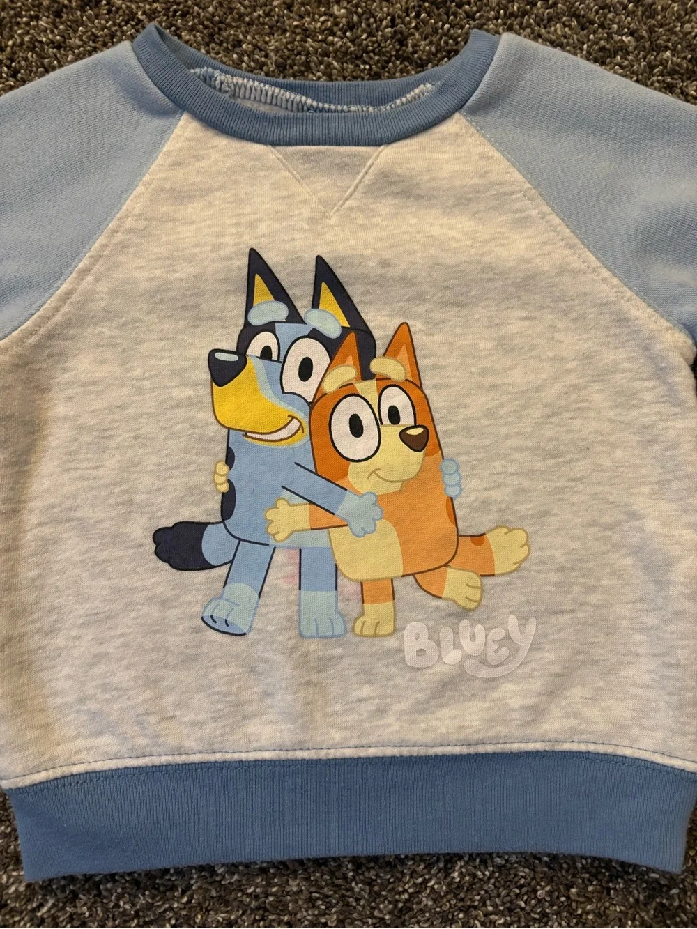 Old Navy Light Blue & Heather Gray Bluey Graphic Sweatshirt